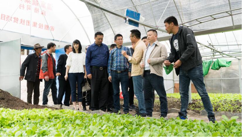 ¼¯ÍÅÏòµ¼µ÷Ñж½µ¼Âé¸ñͬ´å°ï·öÊÂÇé