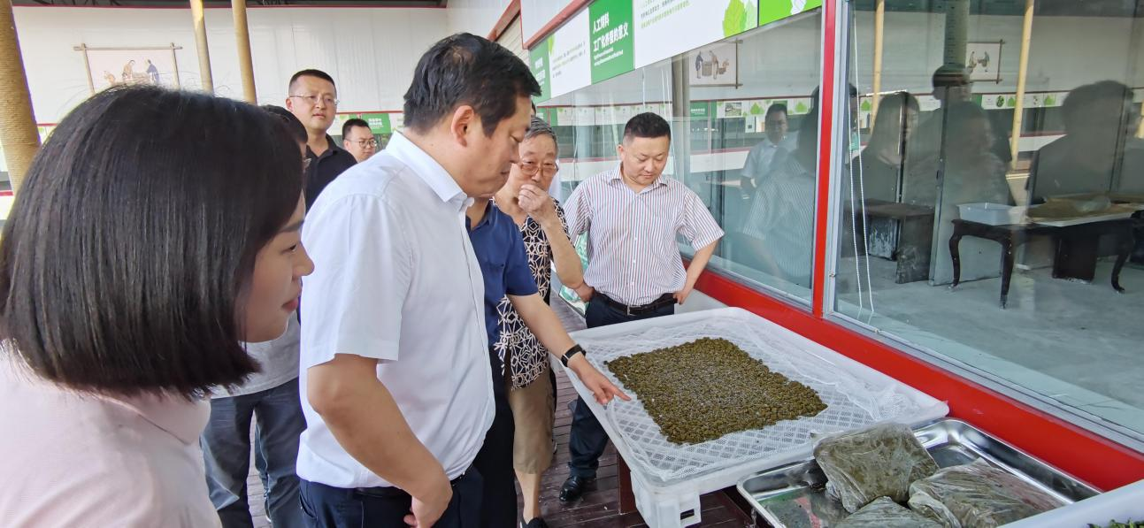 Ê¡½ñÄê»á¹ÙÍø¼¯Íŵ³Î¯¸±Êé¼Ç¡¢¶Ê³ÂÈÕ¸°¼ÎÁêÇøµ÷ÑвèÉ£¹¤ÒµÉú³¤ÇéÐÎ